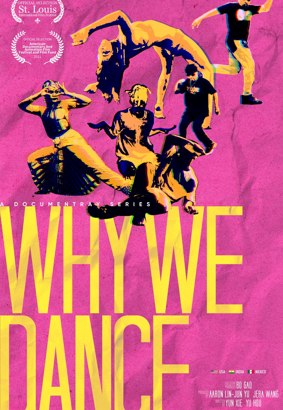 Why We Dance — poster